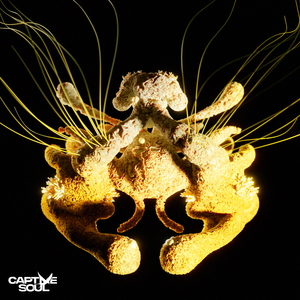 国产18极品粉嫩
